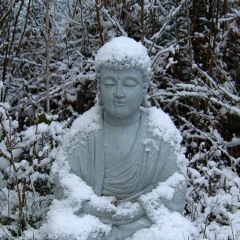 Kristin's Awakening to Winter