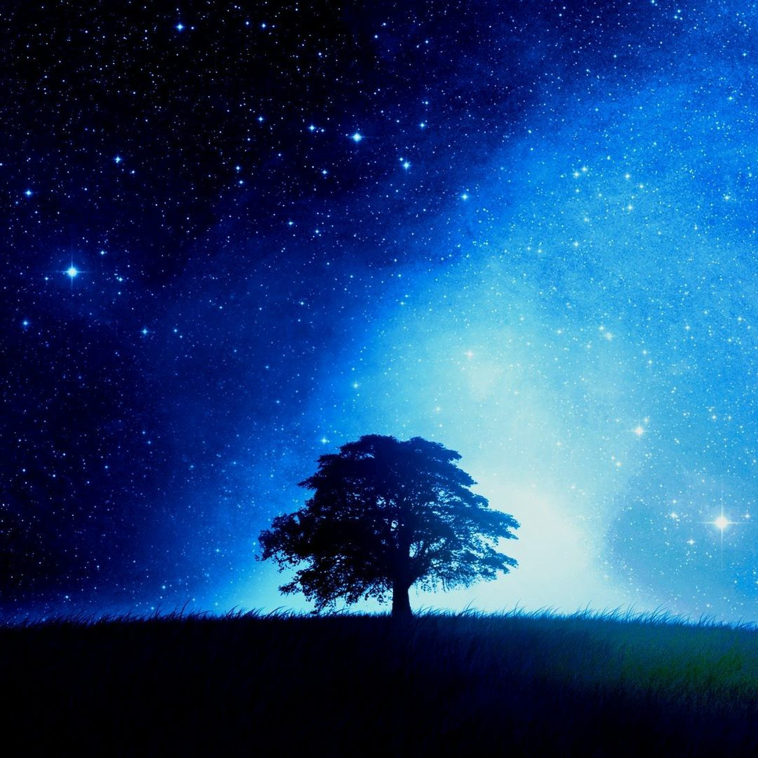 Nightfall