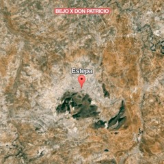05. Bejo X Don Patricio - ESTEPA