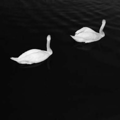 Cashmere Cat ft. Ariana Grande - Adore (Mindless Remix)