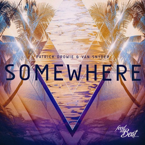 Patrick Drowie & Van Snyder - Somewhere (Original Mix)