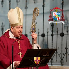 Predigt Kardinal Kurt Koch - Dankmesse Hommage An Papst Em. Benedikt XVI