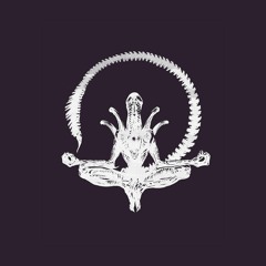 Semi Artificial - Space Purr