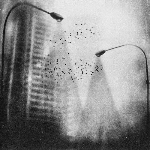 Disparu