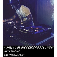 Axwell vs Dre Dre vs Snoopdog vs W & W - Still Barricade (Dave puskas mashup)