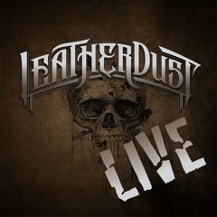 ZZ Top - Beer Drinkers & Hell Raisers Cover LIVE by Leatherdust