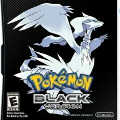 Pokemon Black&White - Critical health.mp3