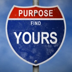 Purpose - Royal Profit