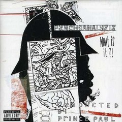 Prince Paul 1998 Interview with DJ Mecca For Psychoanalysis At WHCR FM