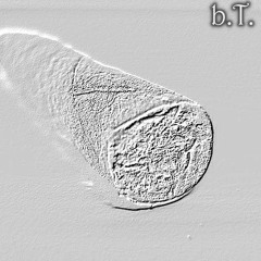 b.T. (prod. dat boi Mubz beats)