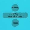 ed-sheeran-perfect-acoustic-cover-shannon-livewell