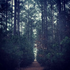 Nathan Riley Smith | Home EP | Intro