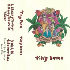 Tiny Farm - Tiny Demo - Side - A - 02 Berry Neurotic Tinder(P.S. Listen To The Steve Miller Band)