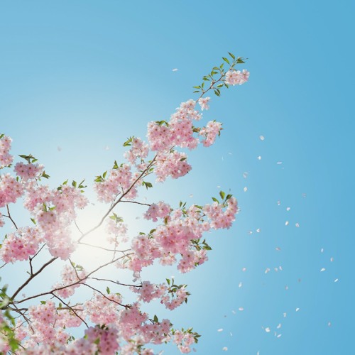 spring