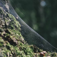 [FREE] XXXTENTACION x $uicideBoy$ x Ghostemane Type Beat - Pale Horse (Prod. Crook)