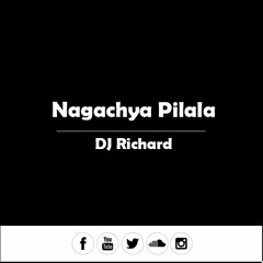 Nagachya Pilala -  DJ Richard Remix