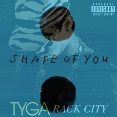 In The Shape Of Rack City (Micah Nesson Mashup)