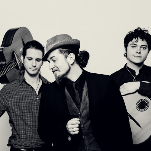 Everybody Wants To Be A Cat