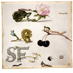 Lodown presents: Sascha Funke „The First Blossom“