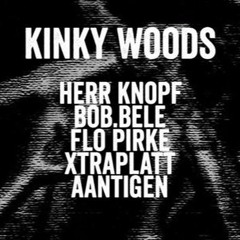 Hans Hammer (XtraPlatt) @ Kinky Woods - Crack Bellmer - Berlin / 25.3.17