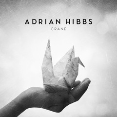 Adrian Hibbs - Shame -(preview) {Free Download Available}