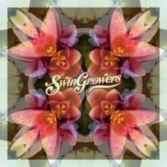 Swingrowers - Butterfly - EDIT - (OUT NOW)