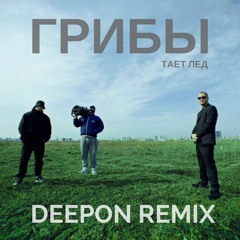 Грибы - Тает Лёд (DeepOn Remix)