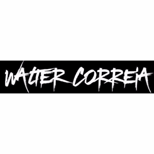 DJ Walter Correia Ft Quen C - Tarraxinha Vibes 3
