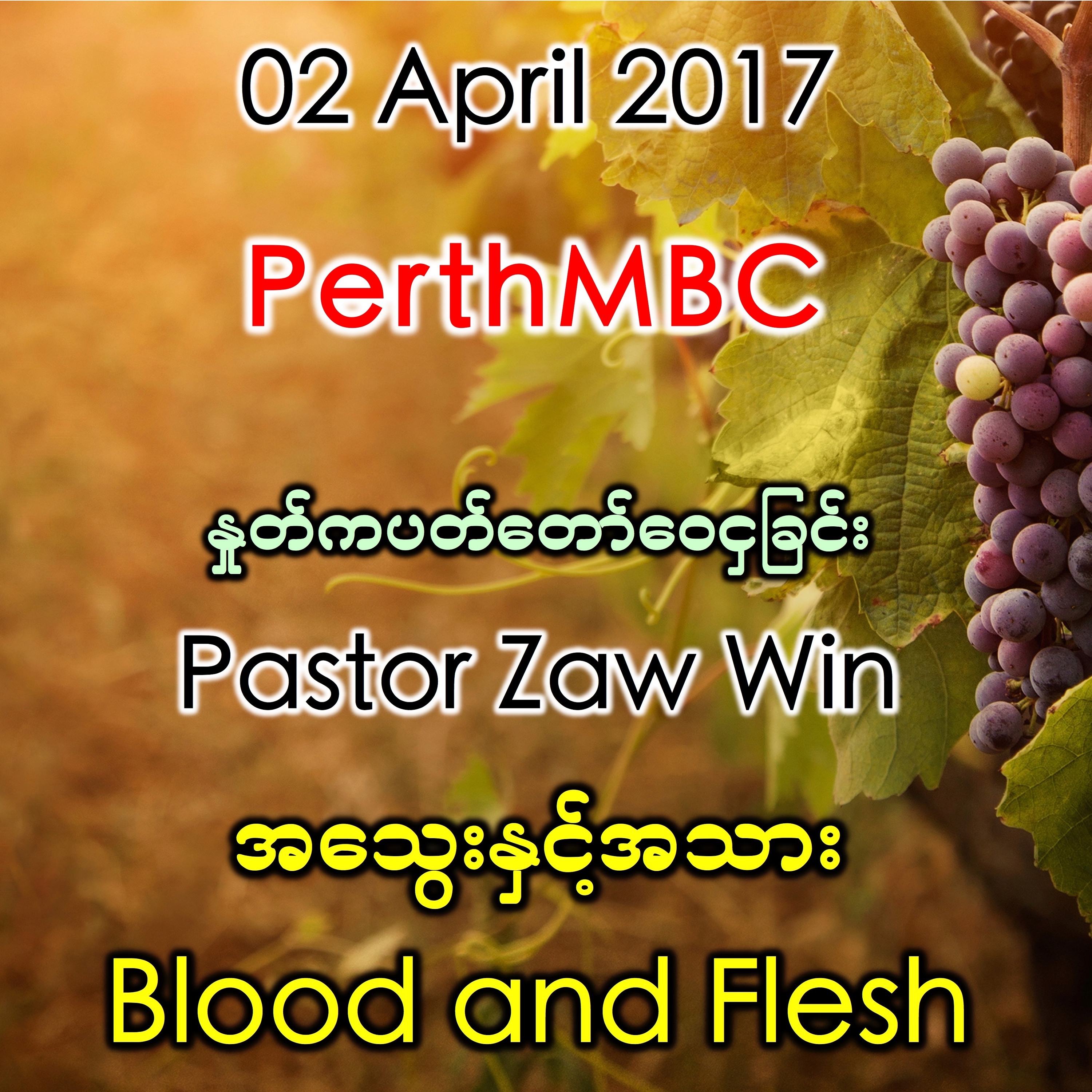 Blood And Flesh episode artwork
