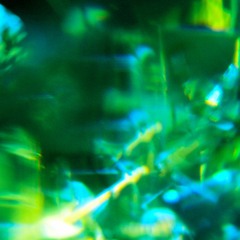 EXPLORERS AND DESTROYERS