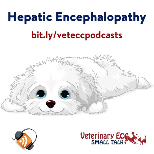 Stream Episode Hepatic Encephalopathy In Dogs And Cats By Veterinaryeccsmalltalk Podcast Listen Online For Free On Soundcloud