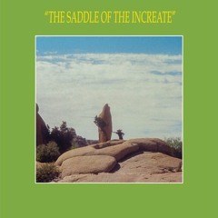 Sun Araw - The Saddle Of The Increate (Japanese Edition)(Sampler)