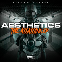 Aesthetics - Assasins EP Preview