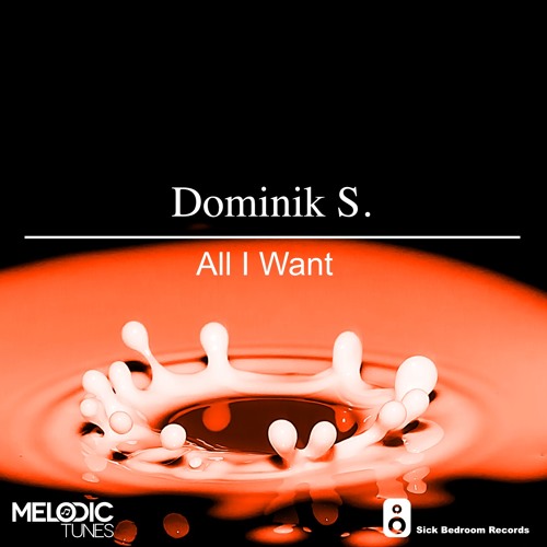 Dominik S. - All I Want (Original Mix) (OUT NOW)