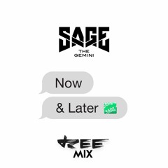 Sage The Gemini - Now And Later (ReeMix)