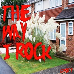 The Way I Rock (Mix)