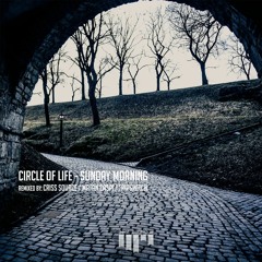 Circle Of Life - Sunday Morning (Tripswitch Remix) - released on Beat Boutique 17th April