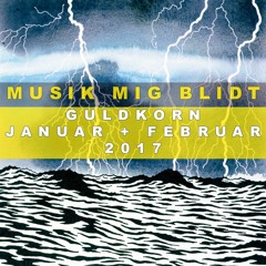 Guldkorn januar 2017