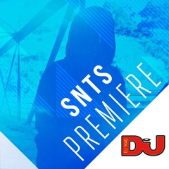 PREMIERE: SNTS 'Figures In The Mist'