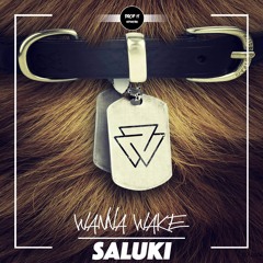 Wanna Wake - Saluki [DROP IT NETWORK EXCLUSIVE]