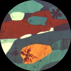 OM016 - Name In Lights - All Inclusive