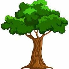 "Me in a Tree"