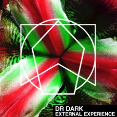 External Experience