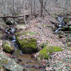 Mountain Back Yard