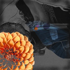 omrr / abadir (Sins & Wine Remix)