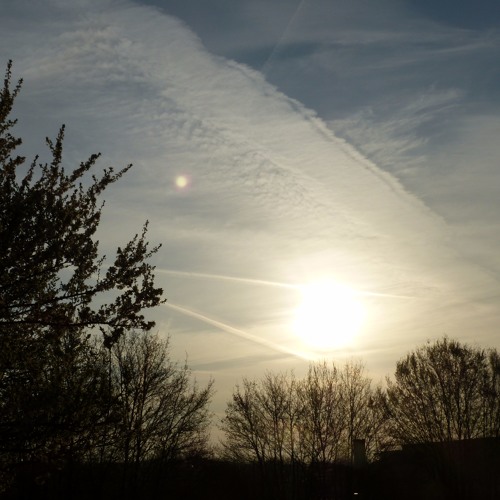 Der Frühling erwacht