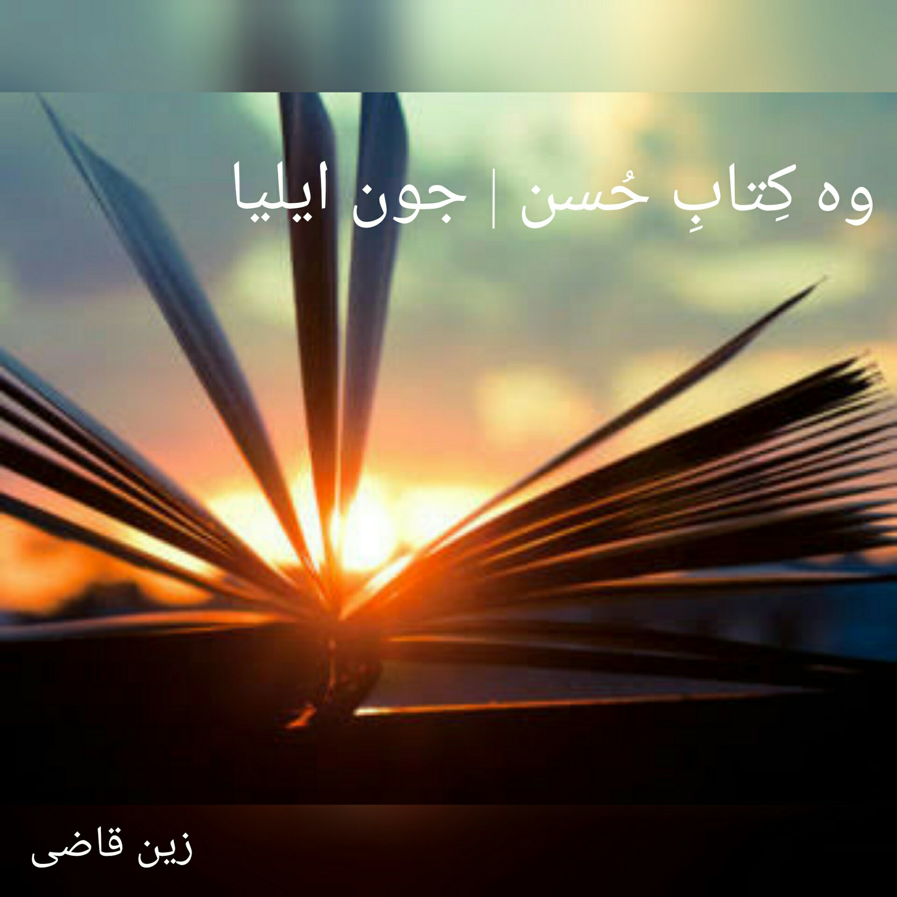 ZQ Recites