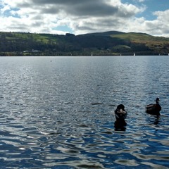 Llyn Tegid