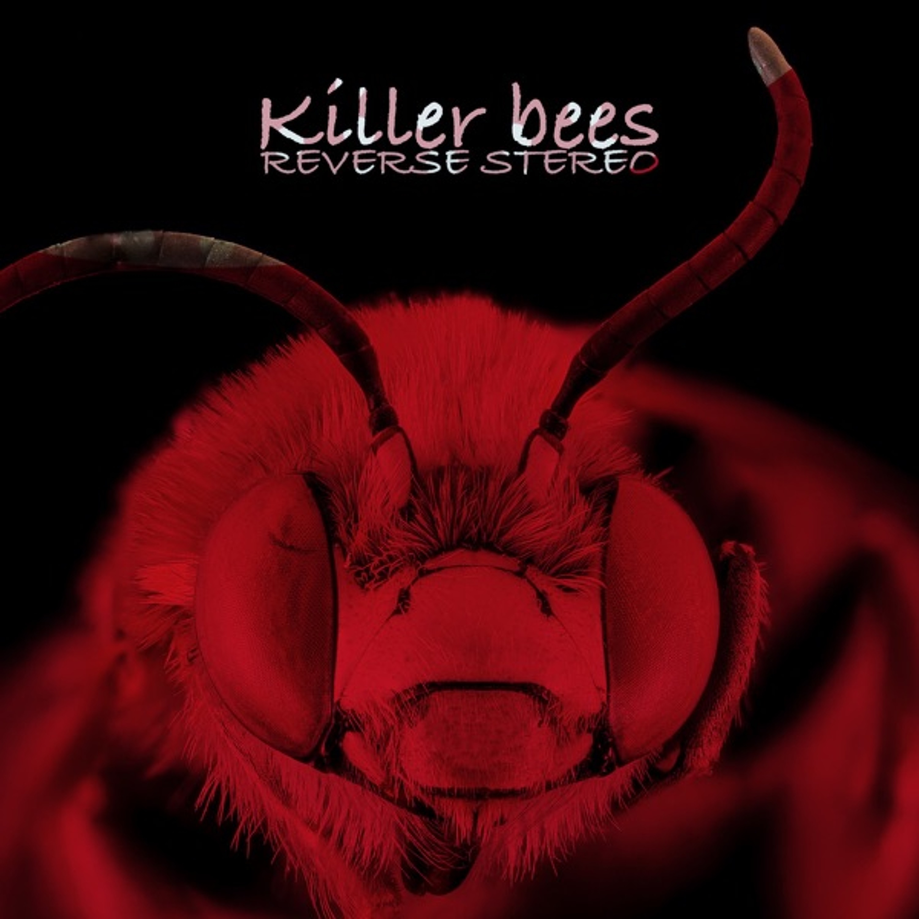 Killer bees ( Hardstyle ) episode artwork
