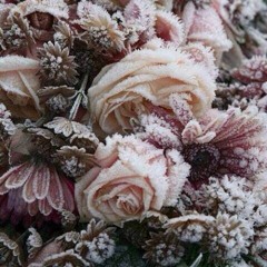 MOOMBÄSTiK 4 (Instrumental)